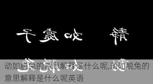 动如脱兔的意思解释是什么呢,动如脱兔的意思解释是什么呢英语