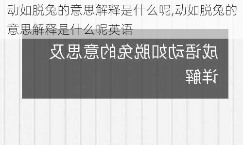 动如脱兔的意思解释是什么呢,动如脱兔的意思解释是什么呢英语