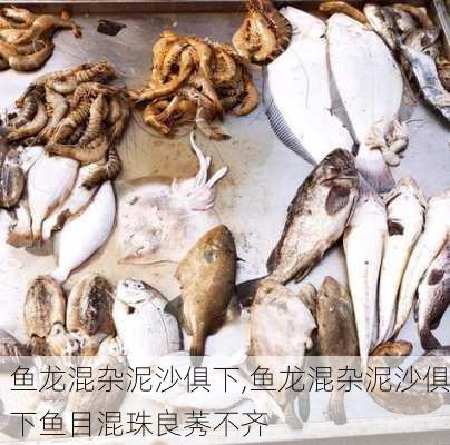 鱼龙混杂泥沙俱下,鱼龙混杂泥沙俱下鱼目混珠良莠不齐