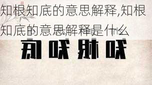 知根知底的意思解释,知根知底的意思解释是什么