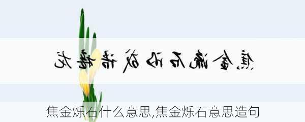 焦金烁石什么意思,焦金烁石意思造句