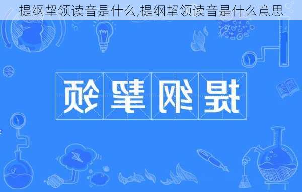 提纲挈领读音是什么,提纲挈领读音是什么意思