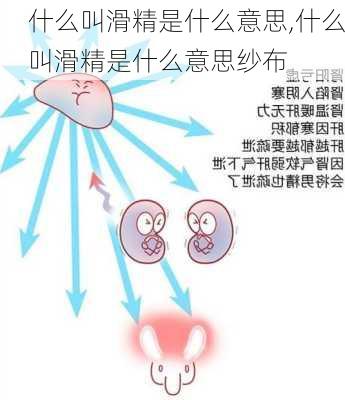 什么叫滑精是什么意思,什么叫滑精是什么意思纱布