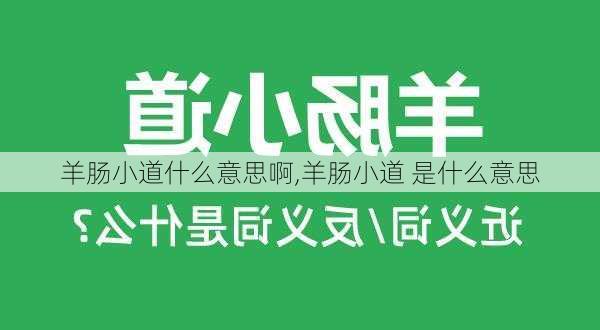 羊肠小道什么意思啊,羊肠小道 是什么意思