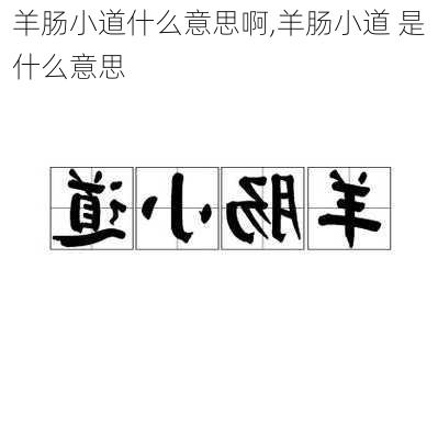 羊肠小道什么意思啊,羊肠小道 是什么意思