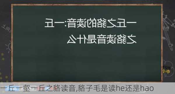 一丘一壑一丘之貉读音,貉子毛是读he还是hao