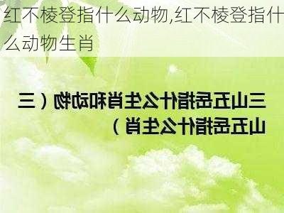 红不棱登指什么动物,红不棱登指什么动物生肖