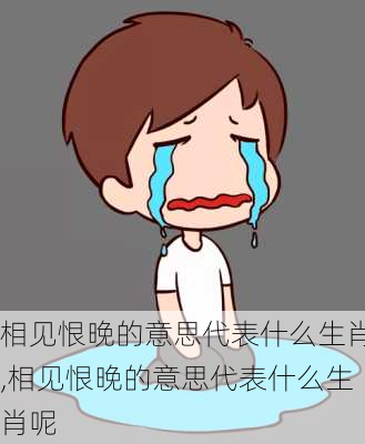 相见恨晚的意思代表什么生肖,相见恨晚的意思代表什么生肖呢