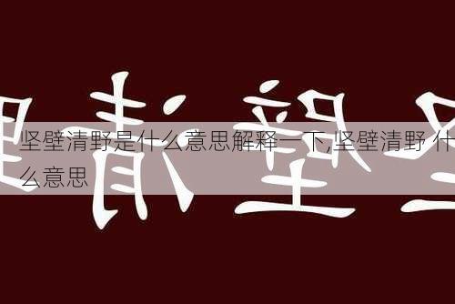 坚壁清野是什么意思解释一下,坚壁清野 什么意思