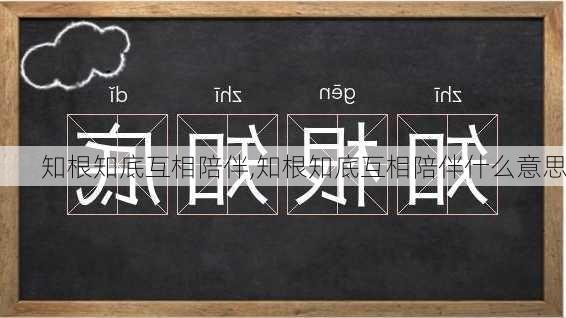 知根知底互相陪伴,知根知底互相陪伴什么意思