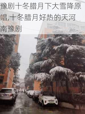 豫剧十冬腊月下大雪降原唱,十冬腊月好热的天河南豫剧