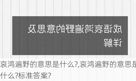 哀鸿遍野的意思是什么?,哀鸿遍野的意思是什么?标准答案?