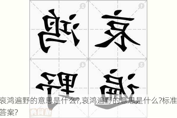 哀鸿遍野的意思是什么?,哀鸿遍野的意思是什么?标准答案?