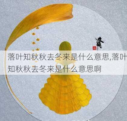 落叶知秋秋去冬来是什么意思,落叶知秋秋去冬来是什么意思啊