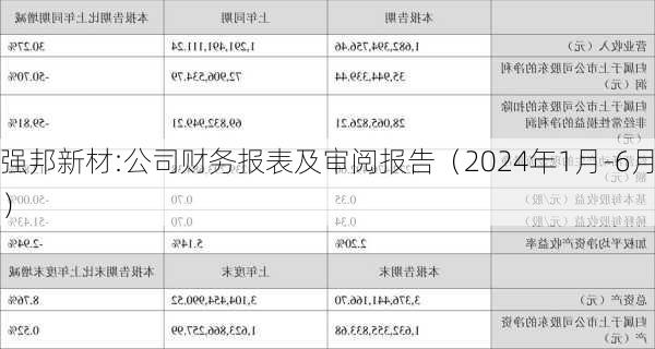 强邦新材:公司财务报表及审阅报告（2024年1月-6月）