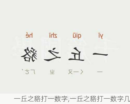 一丘之貉打一数字,一丘之貉打一数字几