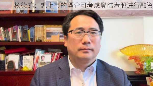 杨德龙：想上市的酒企可考虑登陆港股进行融资