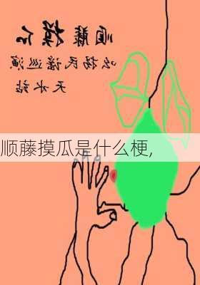 顺藤摸瓜是什么梗,