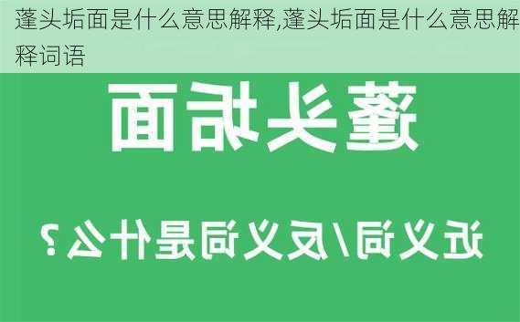 蓬头垢面是什么意思解释,蓬头垢面是什么意思解释词语