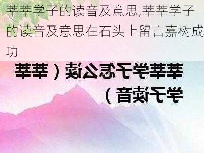 莘莘学子的读音及意思,莘莘学子的读音及意思在石头上留言嘉树成功