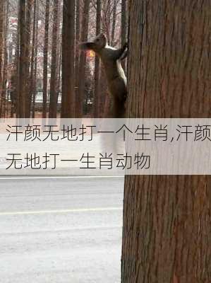 汗颜无地打一个生肖,汗颜无地打一生肖动物