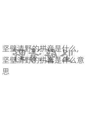 坚壁清野的拼音是什么,坚壁清野的拼音是什么意思