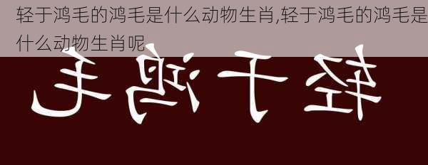 轻于鸿毛的鸿毛是什么动物生肖,轻于鸿毛的鸿毛是什么动物生肖呢