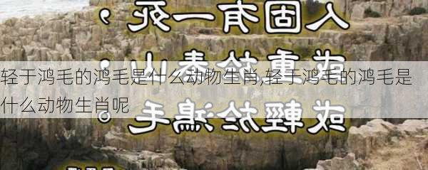 轻于鸿毛的鸿毛是什么动物生肖,轻于鸿毛的鸿毛是什么动物生肖呢