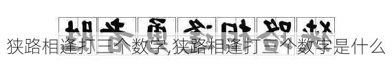 狭路相逢打三个数字,狭路相逢打三个数字是什么