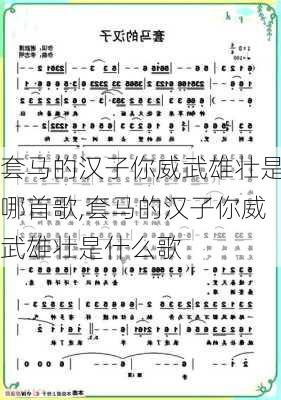 套马的汉子你威武雄壮是哪首歌,套马的汉子你威武雄壮是什么歌