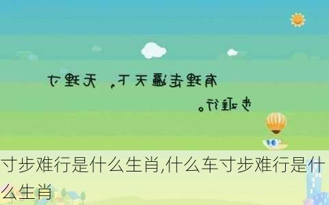 寸步难行是什么生肖,什么车寸步难行是什么生肖