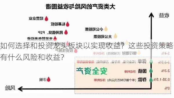 如何选择和投资龙头板块以实现收益？这些投资策略有什么风险和收益？