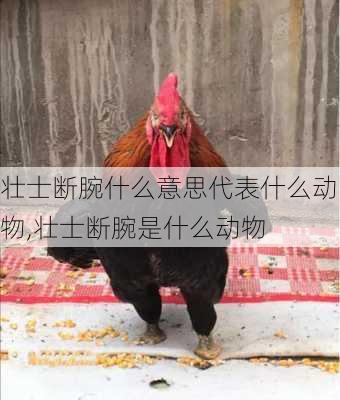 壮士断腕什么意思代表什么动物,壮士断腕是什么动物