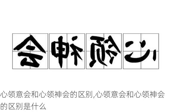 心领意会和心领神会的区别,心领意会和心领神会的区别是什么