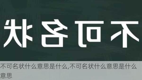 不可名状什么意思是什么,不可名状什么意思是什么意思