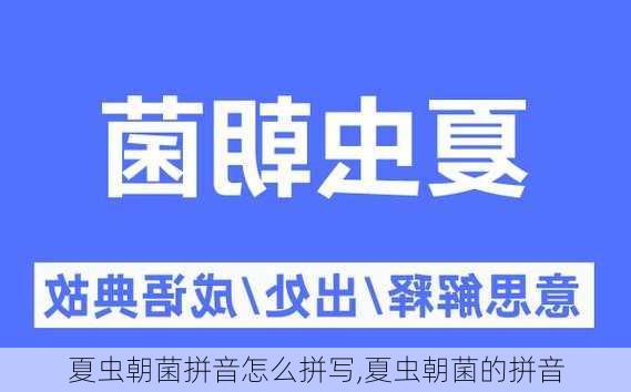 夏虫朝菌拼音怎么拼写,夏虫朝菌的拼音