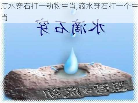 滴水穿石打一动物生肖,滴水穿石打一个生肖