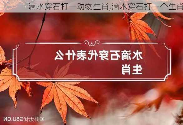 滴水穿石打一动物生肖,滴水穿石打一个生肖