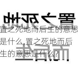 置之死地而后生的意思是什么,置之死地而后生的意思是什么?