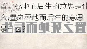 置之死地而后生的意思是什么,置之死地而后生的意思是什么?