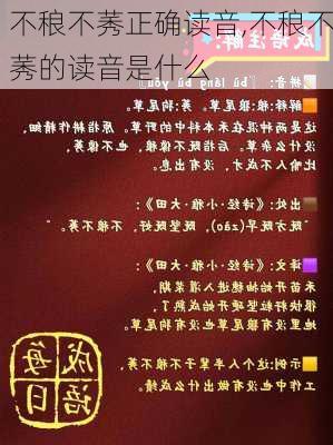 不稂不莠正确读音,不稂不莠的读音是什么