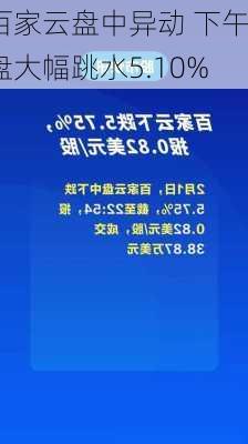 百家云盘中异动 下午盘大幅跳水5.10%