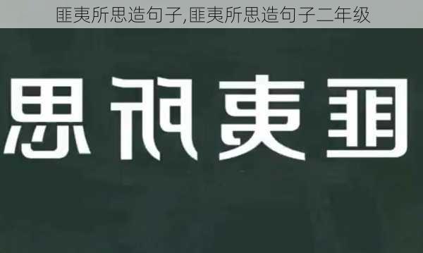 匪夷所思造句子,匪夷所思造句子二年级