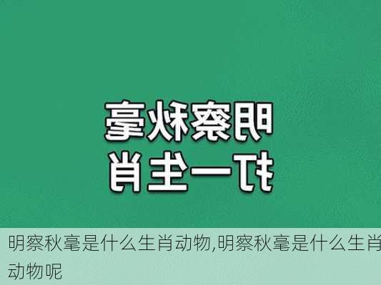 明察秋毫是什么生肖动物,明察秋毫是什么生肖动物呢