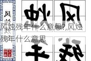 风烛残年什么意思?,风烛残年什么意思