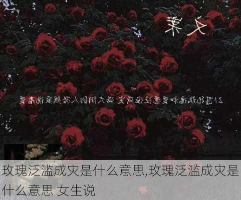 玫瑰泛滥成灾是什么意思,玫瑰泛滥成灾是什么意思 女生说