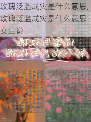 玫瑰泛滥成灾是什么意思,玫瑰泛滥成灾是什么意思 女生说