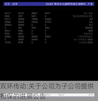 双环传动:关于公司为子公司提供担保的进展公告