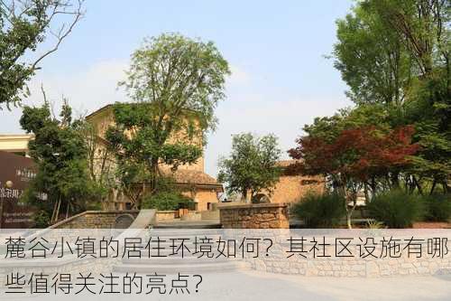 麓谷小镇的居住环境如何？其社区设施有哪些值得关注的亮点？