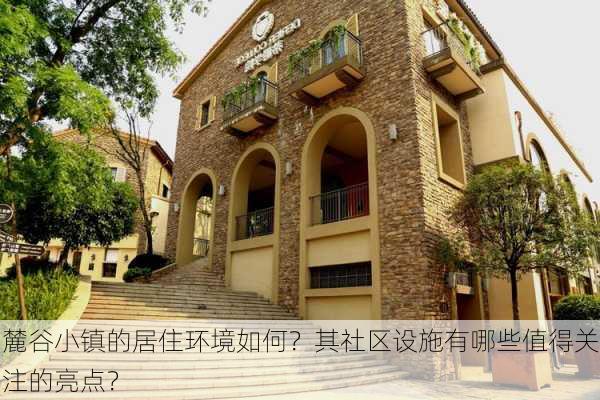 麓谷小镇的居住环境如何？其社区设施有哪些值得关注的亮点？